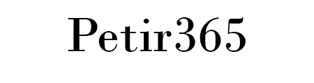 Petir365